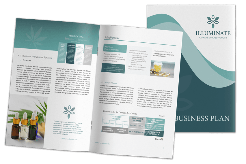 Illuminate Wellness cannabis wellness business plan, open spread in green and pink